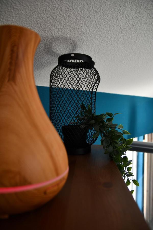 Appartement "Sacha" Au Calme En Hypercentre De Revel Ровел Екстериор снимка